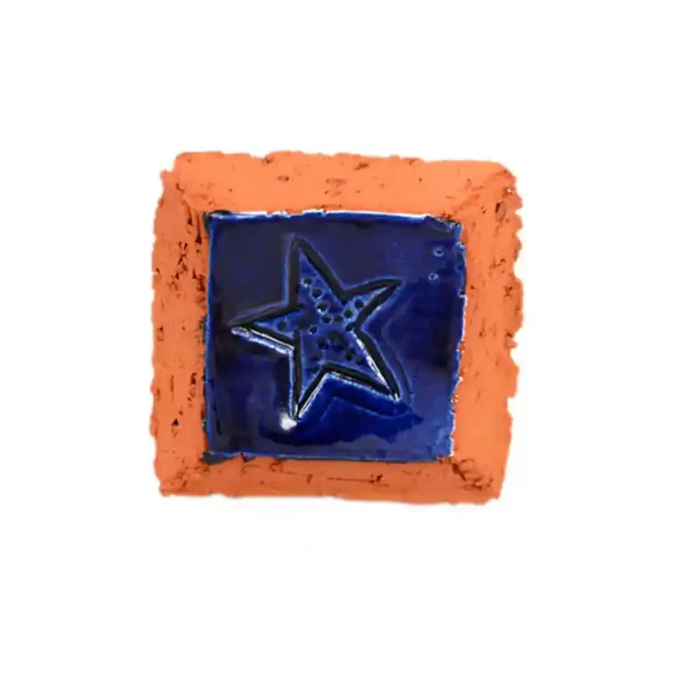 Starfish ceramic wall hanger
