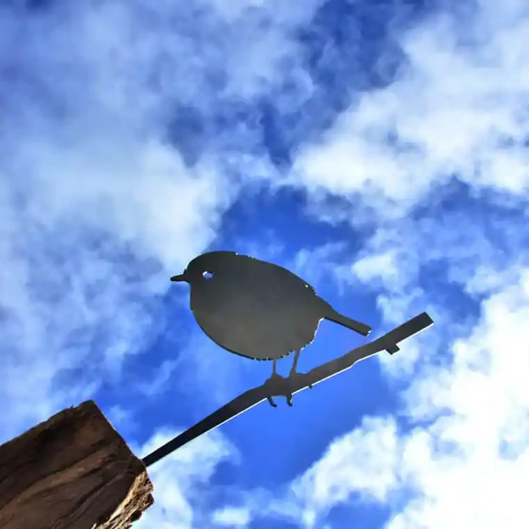 Metal birds. Black Robin