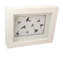 Framed photo of fantails