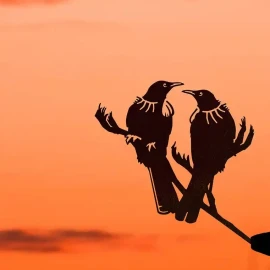 Metalbird double tui silhouette
