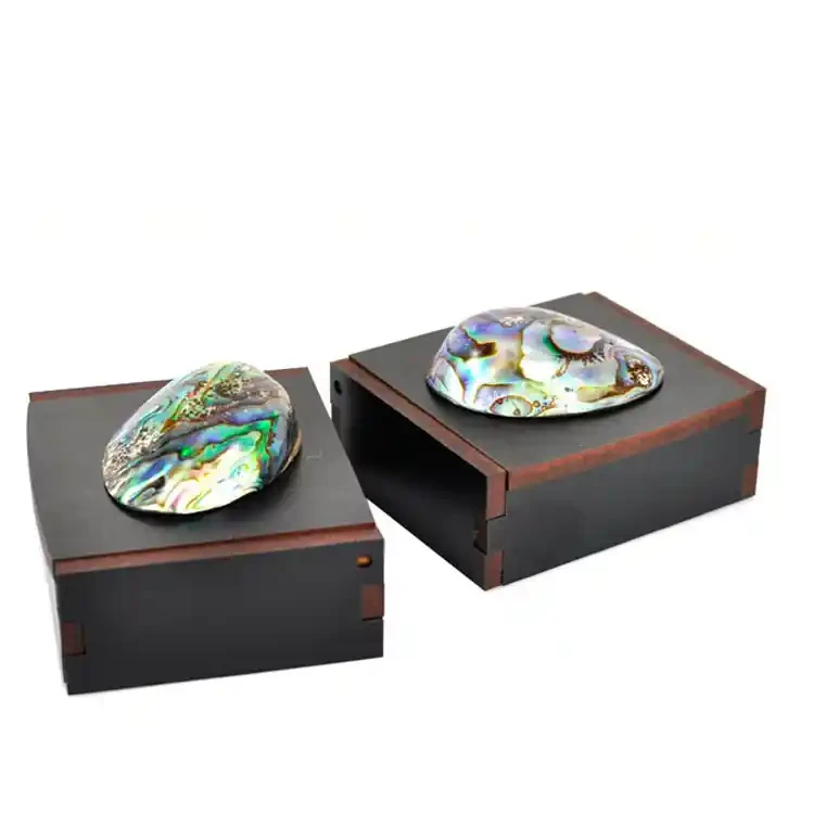 Gift box with paua