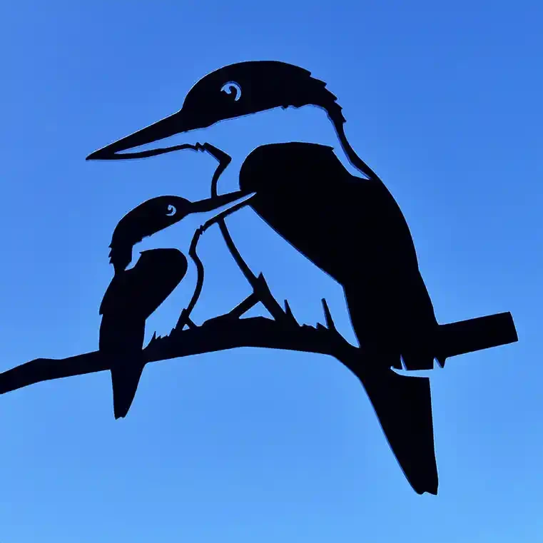 Metalbird Kōtare with baby