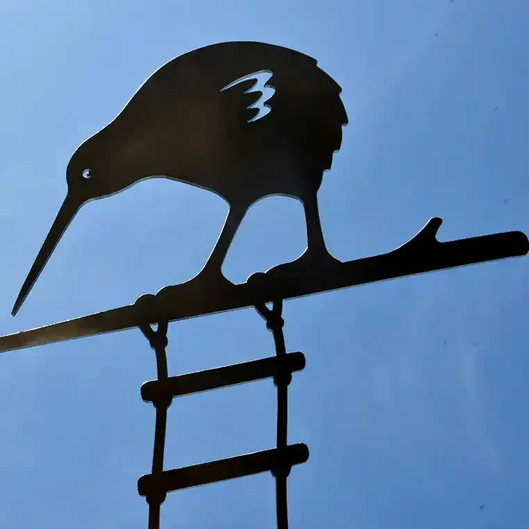 Metalbird kiwi