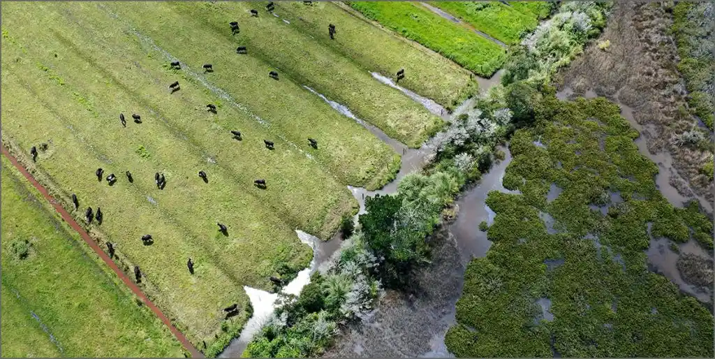 Rural living