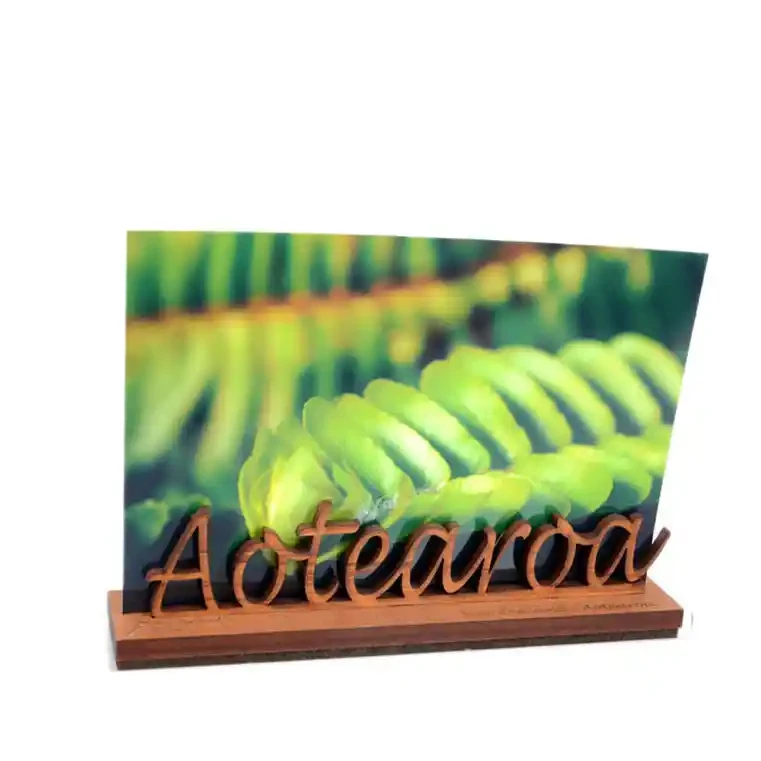 Photo holders double take