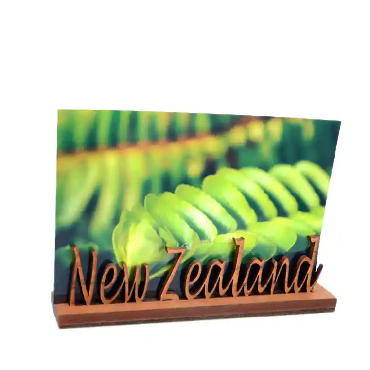 Photo holders double take