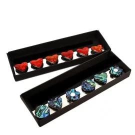 Paua magnets