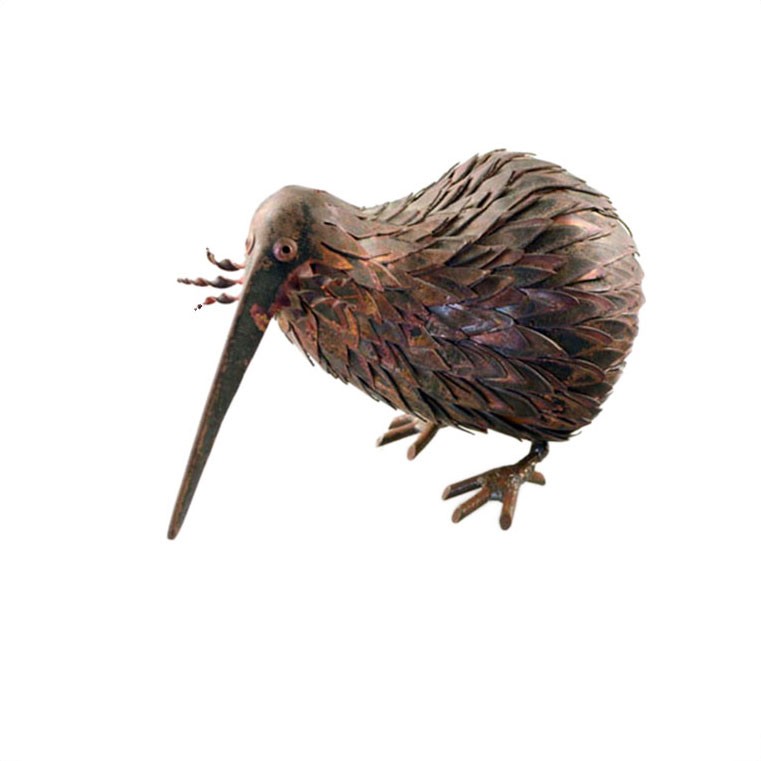Copper kiwi, feathered
