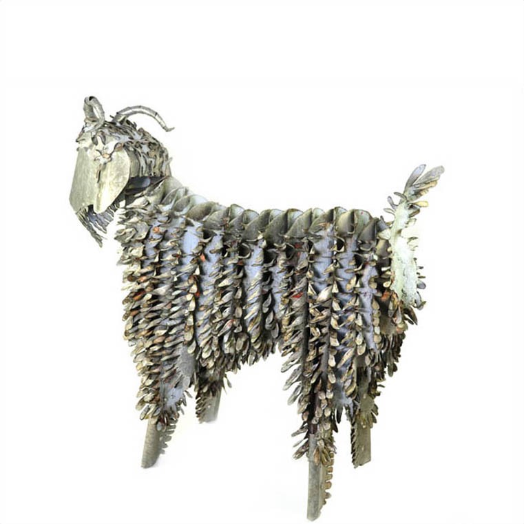 Corrugated iron angora goats