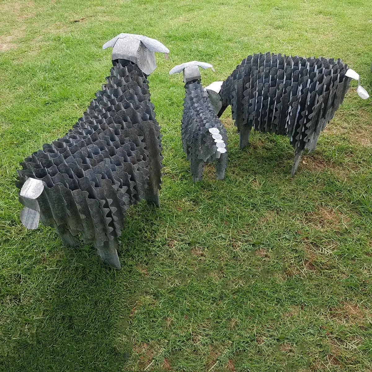 Corrugated iron sheep
