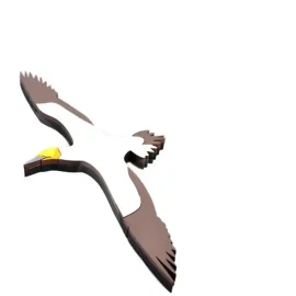 Gannet wall art