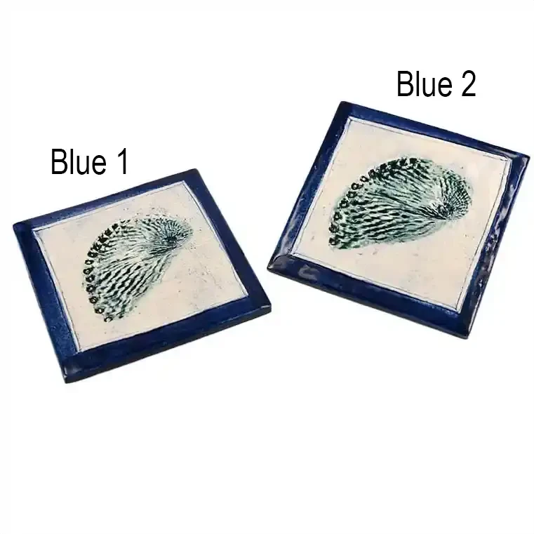 Ceramic tile with paua