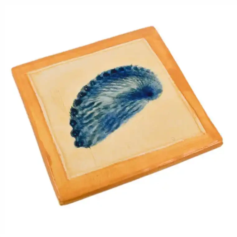Ceramic tile with paua