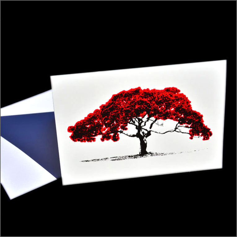 Artearoa pohutukawa pop-art cards