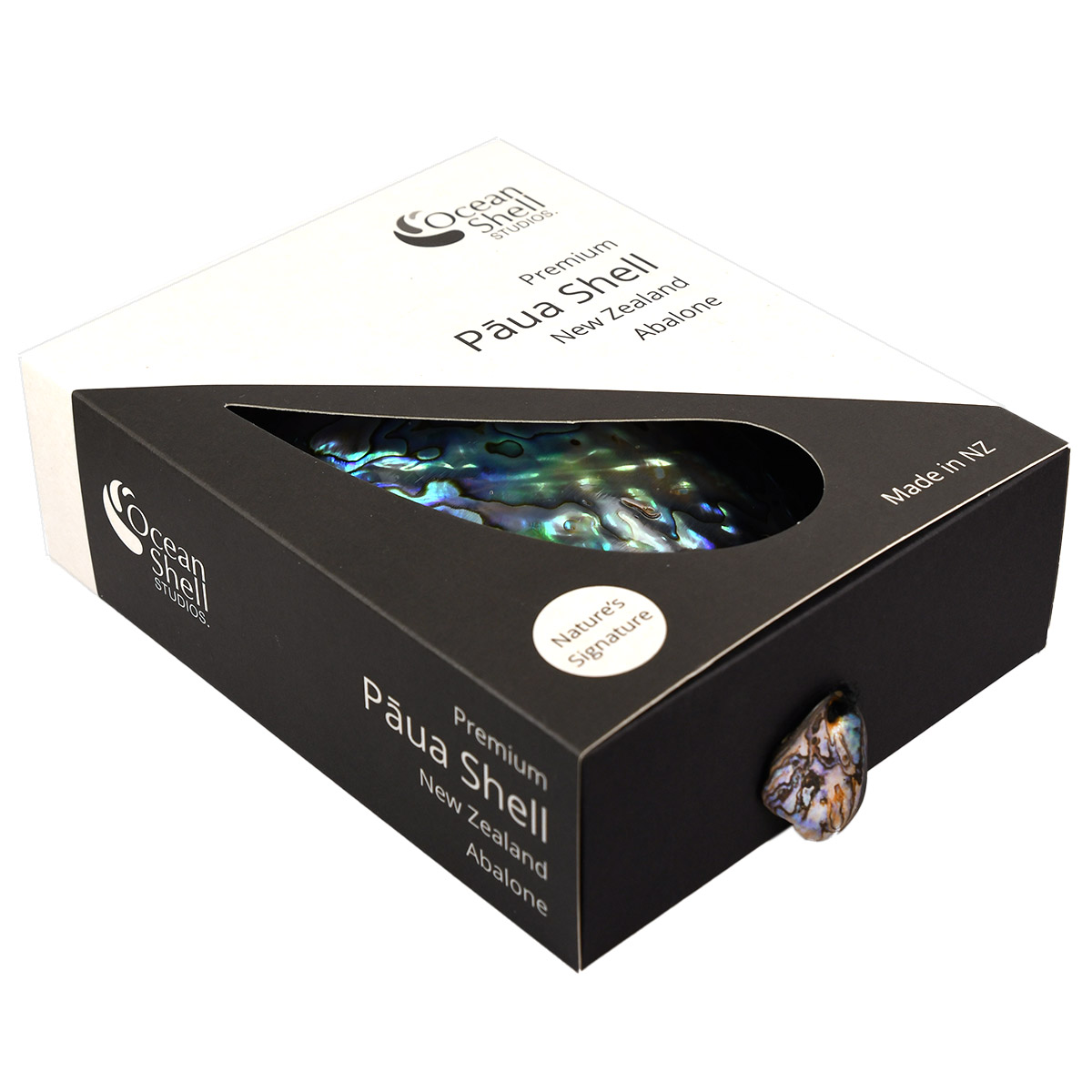 Pāua shell abalone shell