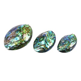 Paua gems in a box