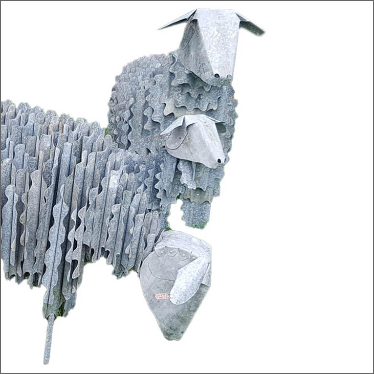 Corrugated iron sheep
