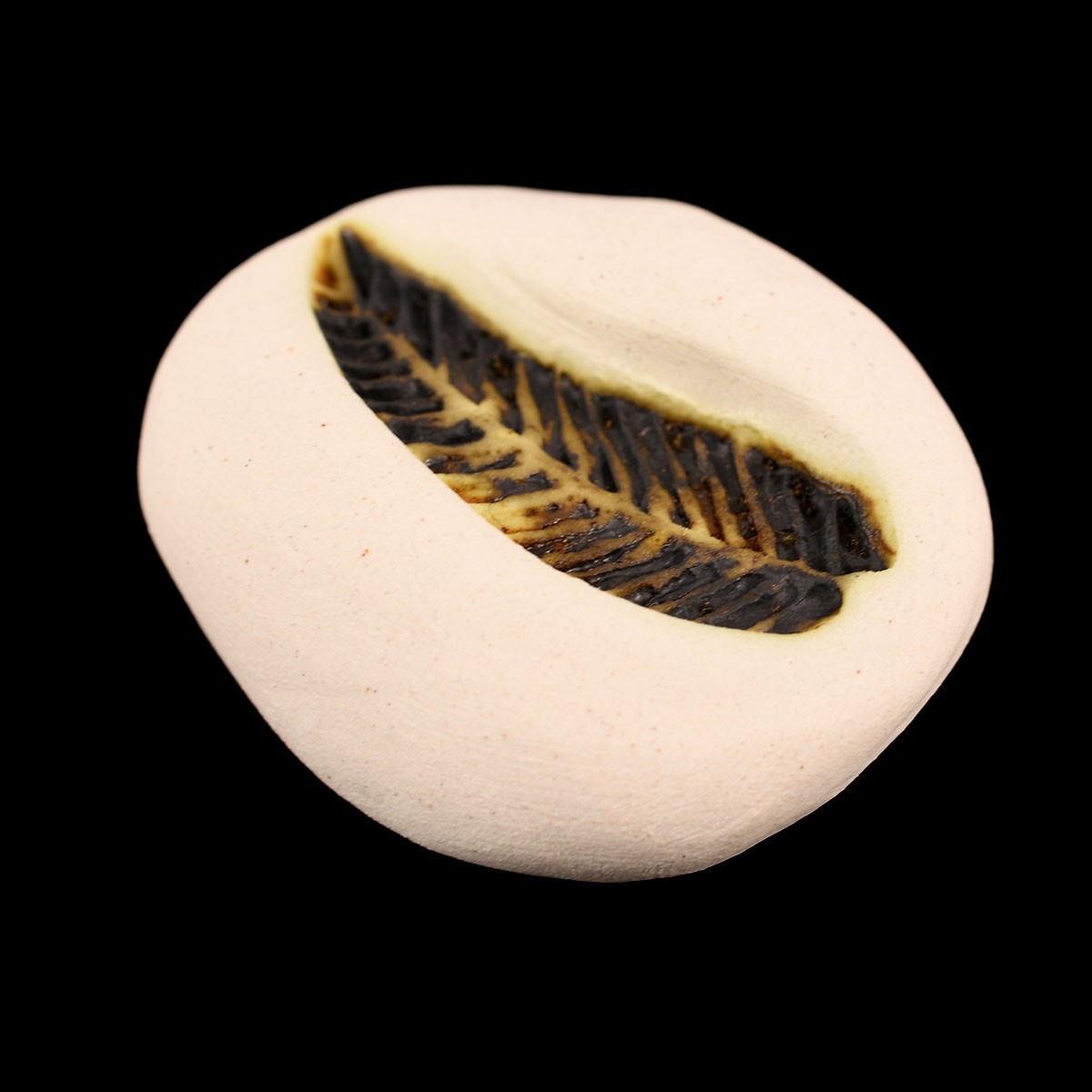 Ceramic fern pebbles